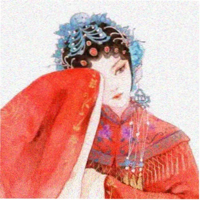 观众字幕组小林的头像